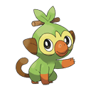 An image of the Pokemon Grookey #810 in the Pokedex