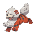 An image of the Pokemon Growlithe Hisuian Form #58 in the Pokedex