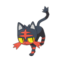 An image of the Pokemon Litten #725 in the Pokedex