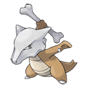 An image of the Pokemon Marowak #105 in the Pokedex