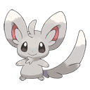An image of the Pokemon Minccino #572 in the Pokedex
