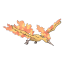 An image of the Pokemon Moltres #146 in the Pokedex