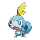 An image of the Pokemon Sobble #816 in the Pokedex