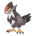 An image of the Pokemon Staraptor #398 in the Pokedex