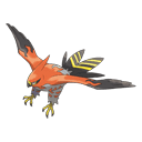 An image of the Pokemon Talonflame #663 in the Pokedex