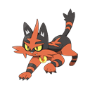 An image of the Pokemon Torracat #726 in the Pokedex
