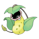 An image of the Pokemon Victreebel #71 in the Pokedex