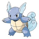 An image of the Pokemon Wartortle #8 in the Pokedex