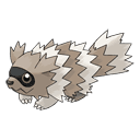 An image of the Pokemon Zigzagoon #263 in the Pokedex